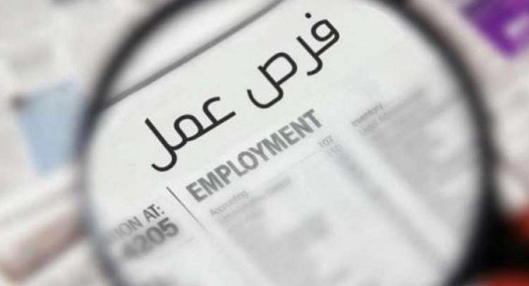 6000 فرصة عمل للشباب.. انطلاق أكبر ملتقى للتوظيف بمشاركة 50 شركة