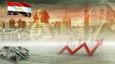 أستاذ تمويل: مصر جذبت نحو 15.5 مليار دولار استثمارات أجنبية مباشرة