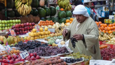 أسعار الخضروات والفاكهة في سوق العبور اليوم الجمعة 17 يوليو 2026