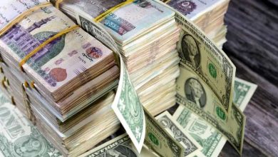 أسعار العملات أمام الجنيه بالبنك المركزي المصري.. وتوقعات بتراجع الدولار لـ 49 جنيهًا