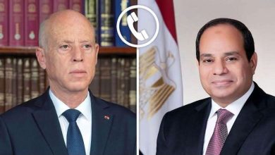 اتصال هاتفي بين الرئيس السيسي ونظيره التونسي للتهنئة بعيد الجمهورية وبحث التطورات الإقليمية