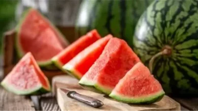 البطيخ أم الكنتالوب.. أيهما الأفضل لمرضى السكري في الحر؟