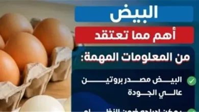 التوازن هو الأساس: وزارة الصحة تؤكد أهمية البيض كعنصر غذائي محوري