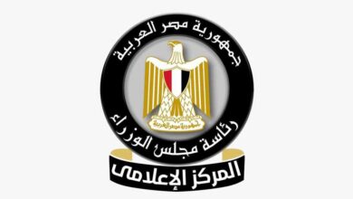 الحكومة تنفي تراجع زراعة المحاصيل الاستراتيجية في مصر وتؤكد التوسع لتعزيز الأمن الغذائي