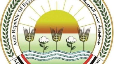 الزراعة: إطلاق مشروع "كاري أون" للتوسع في منافذ بيع السلع الغذائية بأسعار مخفضة