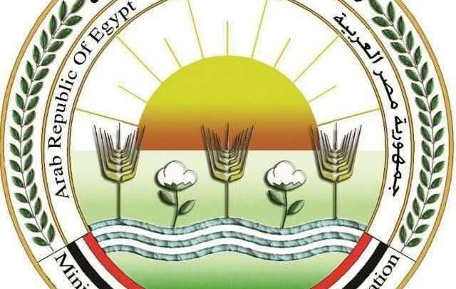 الزراعة: إطلاق مشروع "كاري أون" للتوسع في منافذ بيع السلع الغذائية بأسعار مخفضة