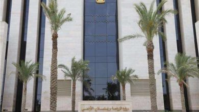 «الزراعة» ترد على فيديو «زيادة وزن الموز»: ادعاءات غير علمية تثير البلبلة