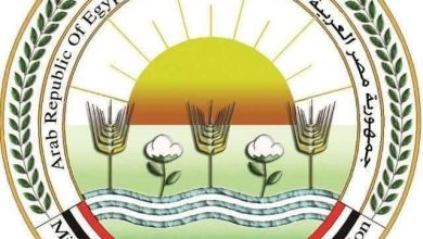 "الزراعة" تستعرض جهودها في دعم المزارعين وتحقيق الأمن الغذائي خلال أسبوع