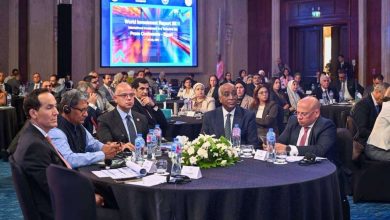 الصدارة الأفريقية والحوافز الجديدة.. مصر ترسم مستقبل الاستثمار الأجنبي المباشر (تقرير)