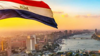 بالتعاون مع الأمم المتحدة.. مصر تطرح مناقصة عالمية لإعداد استراتيجية جديدة لصناعة التعهيد حتى 2030