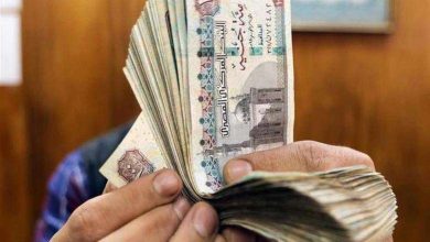 بشرى لأصحاب المعاشات.. تسهيلات جديدة في الصرف وتمويلات ميسرة من بنك ناصر