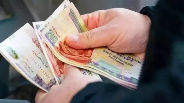 بعد تطبيق زيادة الأجور.. موعد صرف مرتبات شهر يوليو 2026 للعاملين بالدولة وتفاصيل العلاوات والحوافز