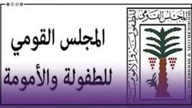 تحرك عاجل من "القومي للطفولة والأمومة" لإنقاذ طفلة الخصوص