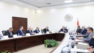 تعرف علي أبرز قرارات وزير التعليم العالي بشأن المعاهد الخاصة
