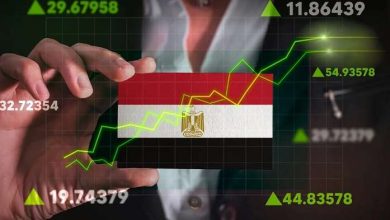 تقدم جديد في ريادة الأعمال.. مصر تتصدر شمال إفريقيا وتحتل المرتبة الـ35 عالميًا