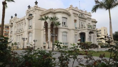 تنسيق الجامعات 2026 | برامج صيدلة جامعة عين شمس تفتح آفاقًا جديدة للماجستير والدكتوراه