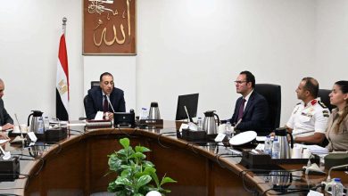 توجيهات جديدة من رئيس الوزراء بشأن ظاهرة الكلاب الضالة