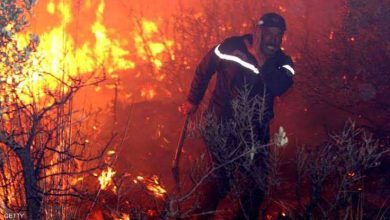 حرائق الجزائر تواصل التهام الغابات.. إجلاء سكان 150 منزلًا ونقل أكثر من 100 مصاب للمستشفيات