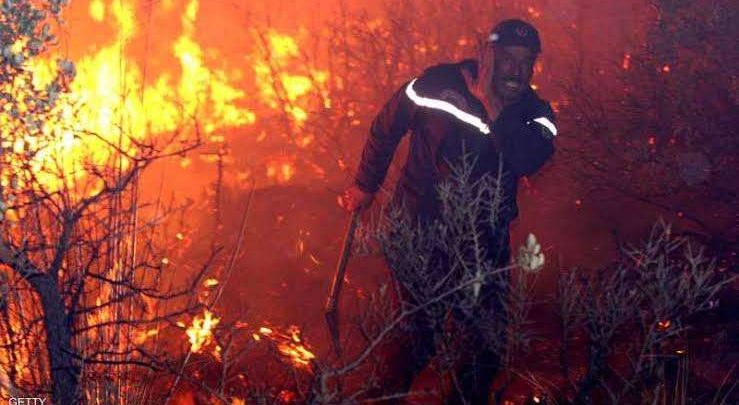 حرائق الجزائر تواصل التهام الغابات.. إجلاء سكان 150 منزلًا ونقل أكثر من 100 مصاب للمستشفيات