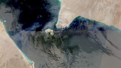 حركة الملاحة البحرية.. باب المندب يسجل أعلى معدل عبور يومي للسفن