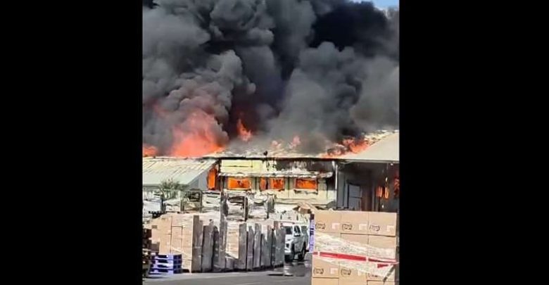 حريق هائل في إسرائيل وتسرب مواد خطيرة بينها الأمونيا.. فيديو