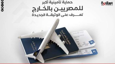 حماية تأمينية أكبر للمصريين بالخارج.. تعرف على الوثيقة الجديدة