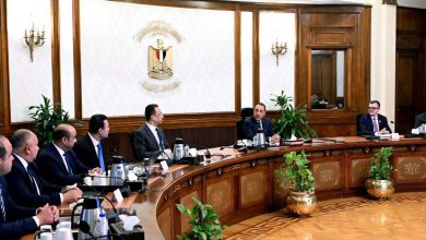 رئيس الوزراء يتابع موقف الإعداد لتنفيذ التعداد العام للسكان والإسكان والمنشآت 2027