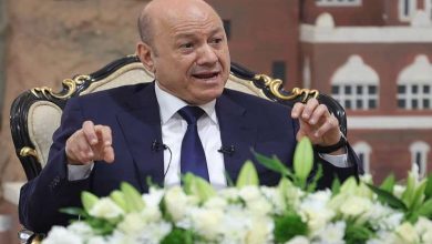 رئيس مجلس القيادة اليمني: ميليشيا الحوثي تصر على المقامرة بمصالح الشعب اليمني لخدمة أجندات إيران