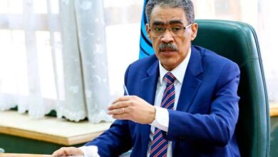 ضياء رشوان: الحكومة تدعم معاشات وعلاج "الصحفيين" بمبلغ 30 مليون جنيه