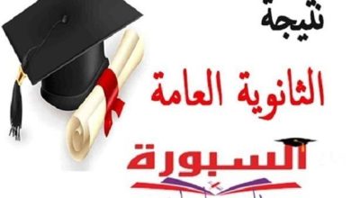 ظهرت الآن نتيجة الثانوية العامة 2026 رسميًا.. رابط الاستعلام برقم الجلوس والاسم