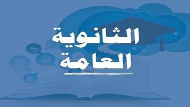 عاجل.. نتيجة الثانوية العامة 2026 بدرجات المواد كاملة علي موقع السبورة.. أعرف درجاتك