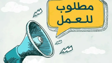 فرص عمل في سكك حديد مصر.. تفاصيل 6 وظائف جديدة ومواعيد التقديم