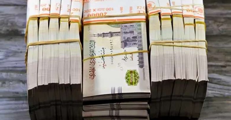 قرض حكومي للموظفين بدون فوائد بالتقسيط على 30 شهرًا.. اعرف الشروط وتفاصيل التقديم