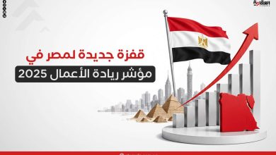 قفزة جديدة لمصر في مؤشر ريادة الأعمال 2025