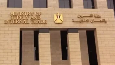 لتنقية منظومة الدعم.. وزارة التموين توضح محددات استبعاد البطاقات وآليات تقديم التظلمات