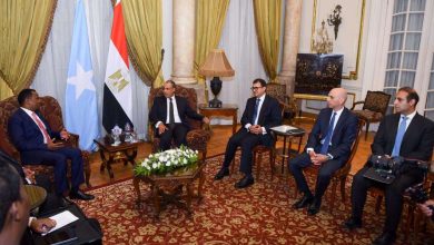 مصر تؤكد دعمها الكامل لوحدة وسيادة وسلامة أراضي الصومال