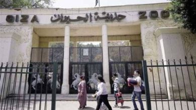 موعد افتتاح حديقة الحيوان بالجيزة 2026 بعد التطوير الشامل