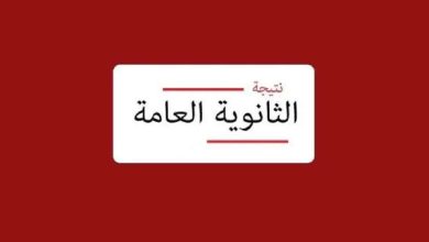 نتيجة الثانوية العامة 2026 برقم الجلوس.. رابط الاستعلام الرسمي وخطوات الحصول على النتيجة "لينك رسمي وسريع"