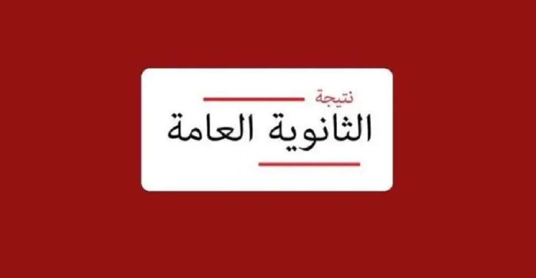 نتيجة الثانوية العامة 2026 برقم الجلوس.. رابط الاستعلام الرسمي وخطوات الحصول على النتيجة "لينك رسمي وسريع"