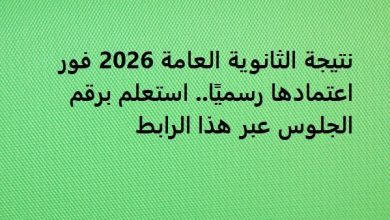 نتيجة الثانوية العامة 2026 فور اعتمادها رسميًا.. استعلم برقم الجلوس عبر هذا الرابط