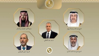وزراء خارجية 4 دول عربية يدينون استهداف ميناء دمياط ويؤكدون دعمهم لمصر