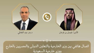 وزير الخارجية يبحث مع نظيره السعودي جهود خفض التصعيد في المنطقة