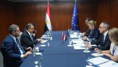 وزير الخارجية يبرز جهود مصر في أمن المنطقة والتعاون الأوروبي لمكافحة الهجرة غير الشرعية