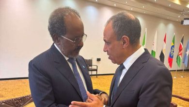 وزير الخارجية يلتقي الرئيس الصومالي في كمبالا