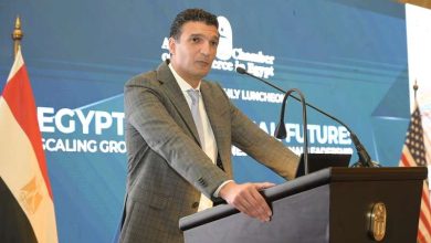 وزير الصناعة: الحكومة تدعم القطاع الخاص لتعزيز الشراكة المصرية التنزانية وفتح أسواق جديدة في أفريقيا