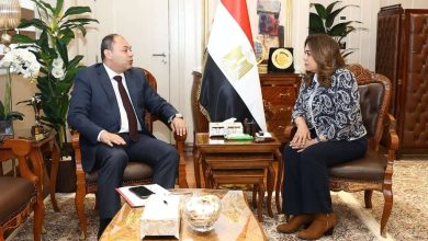 وزيرة التنمية المحلية والبيئة تتابع مع رئيس هيئة تنمية الصعيد المشروعات التنموية الجارية