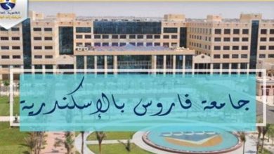 وظيفة جامعة.. جامعة فاروس تعلن عن وظائف لأعضاء هيئة التدريس بعدد من التخصصات