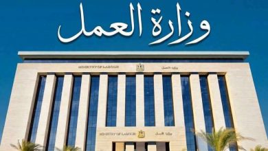100 فرصة عمل للفتيات بمحافظة الجيزة بمؤهل متوسط (قدمن الآن)
