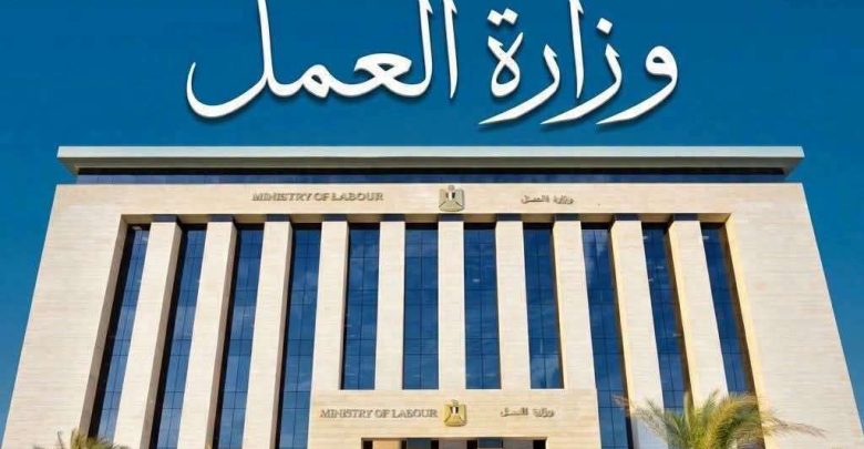 100 فرصة عمل للفتيات بمحافظة الجيزة بمؤهل متوسط (قدمن الآن)