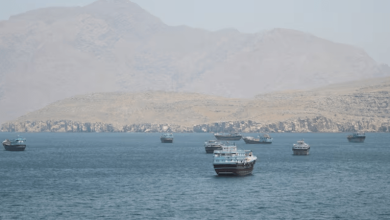 أستاذ علوم سياسية: اتفاق أمريكي إيراني مؤقت قد يقتصر على فتح الملاحة في مضيق هرمز